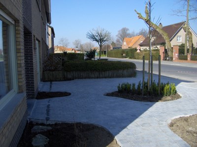 HPIM4463.JPG