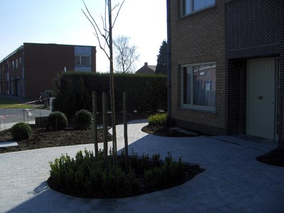 HPIM4464.JPG