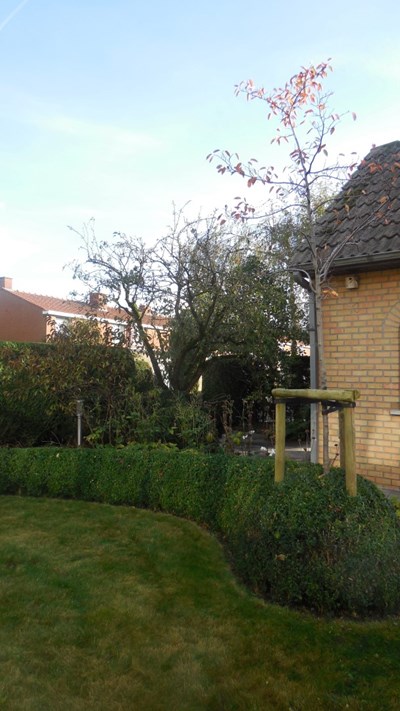 DSCN0346.JPG