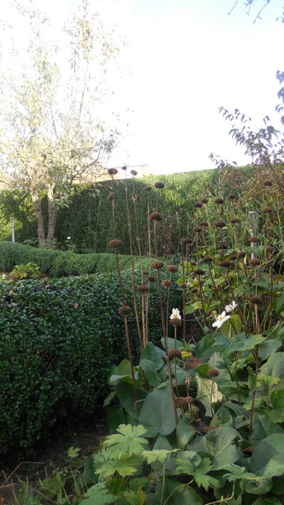 DSCN0342.JPG