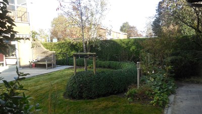 DSCN0341.JPG