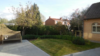 DSCN0345.JPG